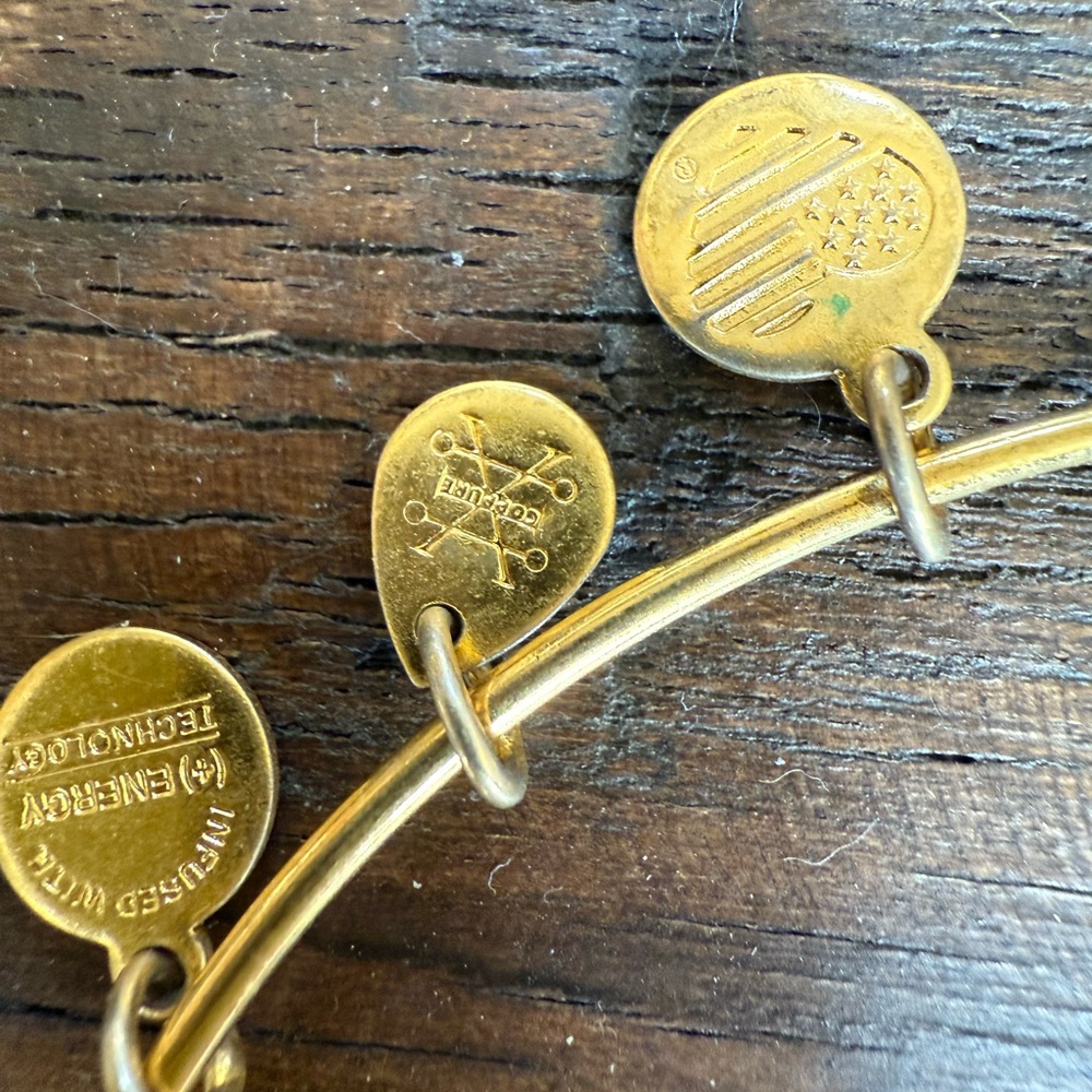 Alex and Ani Gold Bee Charm Bracelet - Picture 3 of 5
